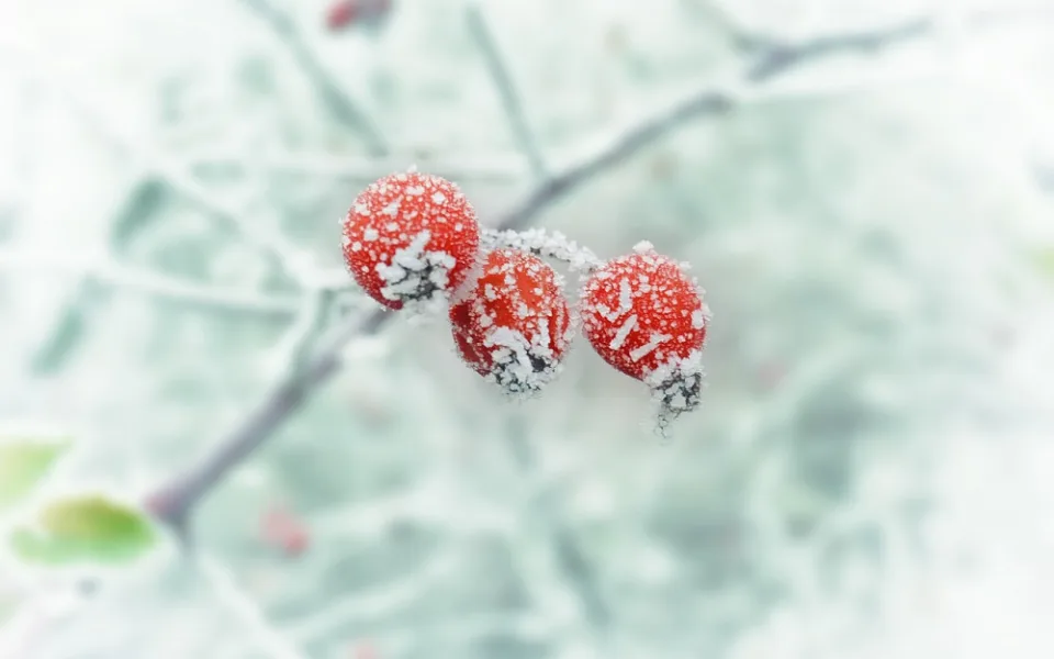 Ilustrační foto