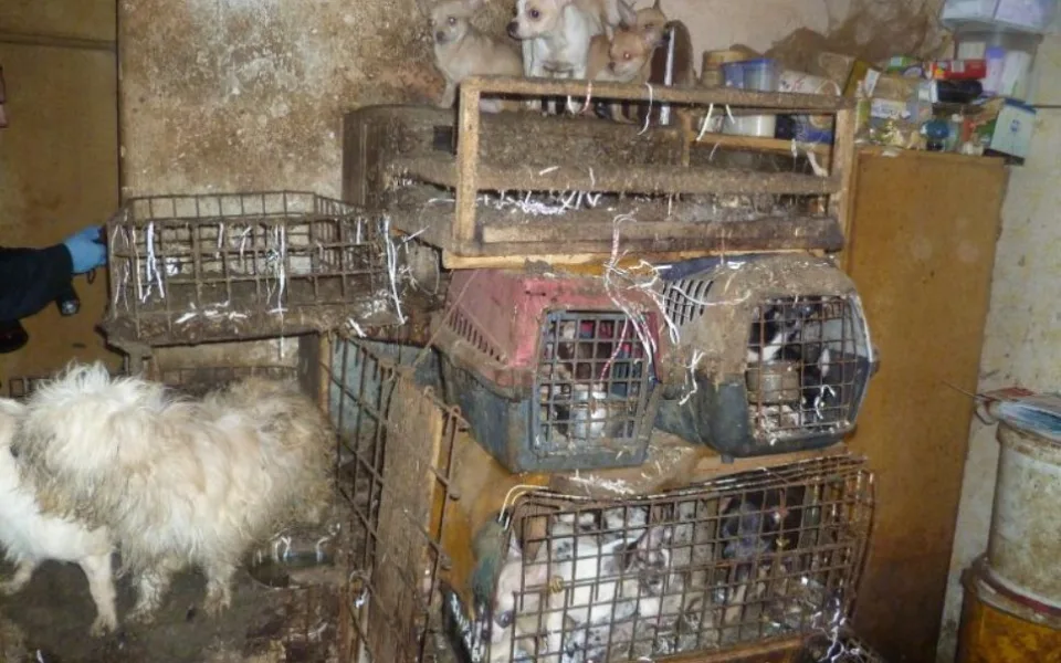 Ilustrační foto