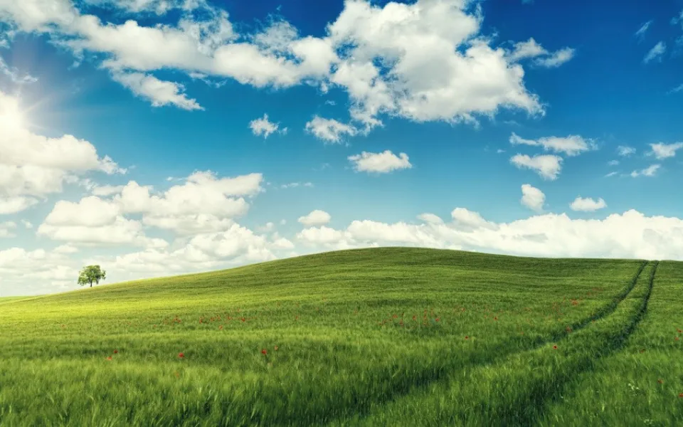 Ilustrační foto