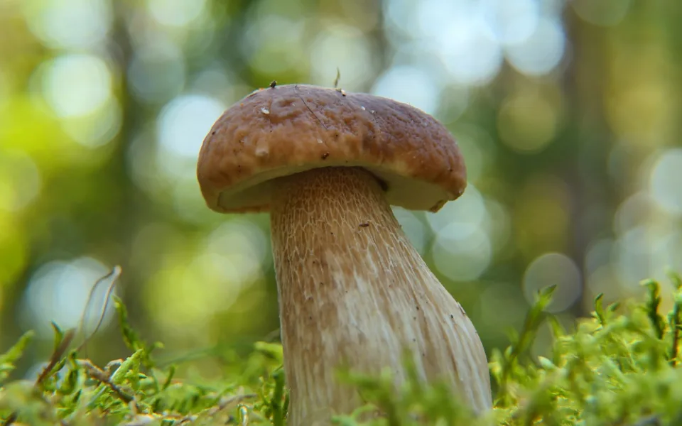 Ilustrační foto