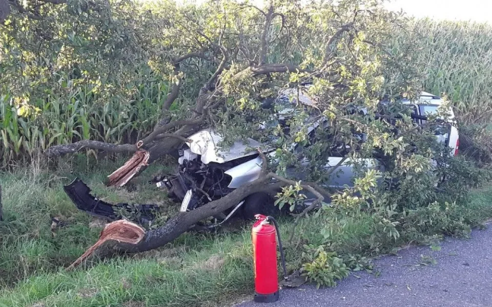Osobní vozidlo čelním nárazem doslova rozlomilo strom, dvě osoby jsou hospitalizovány
