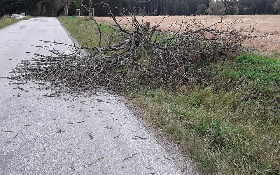 Kvůli silnému větru je na Vysočině bez elektřiny asi tisícovka míst