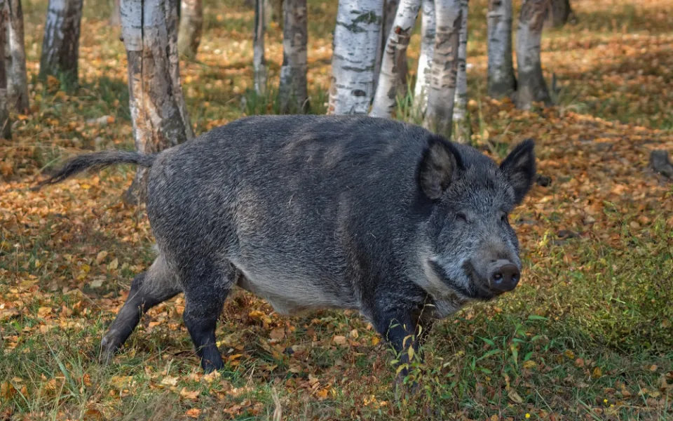 Ilustrační foto 