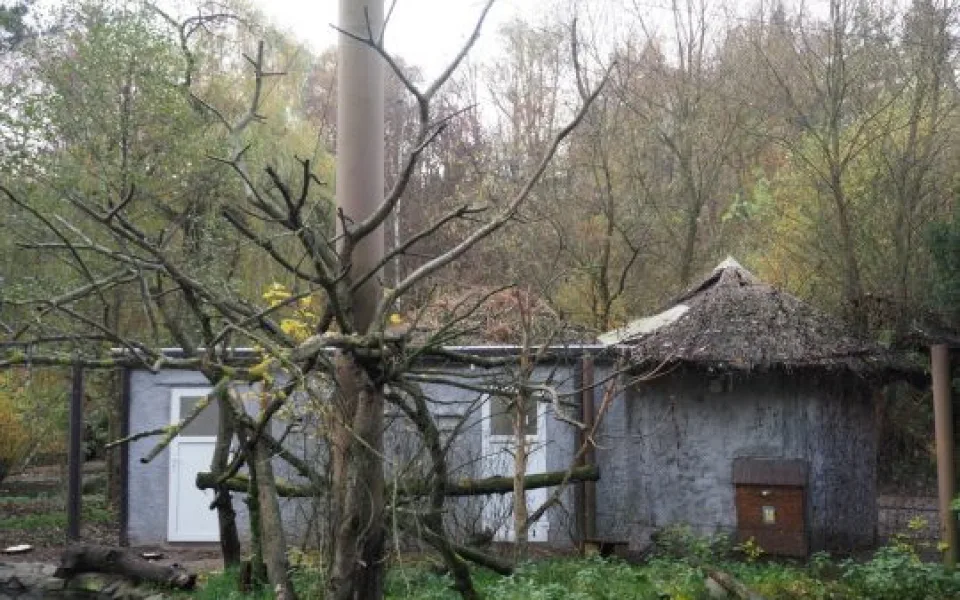 Jihlavská zoo dokončila ubikaci, v níž budou v zimě i ibisové
