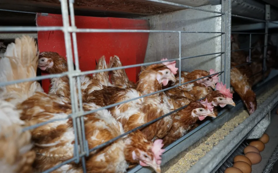Ilustrační foto 