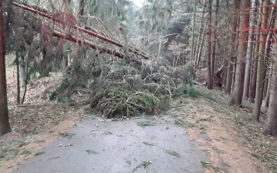 Popadané stromy, více než tisíc domácností bez proudu. Hasiči na Vysočině měli i v sobotu napilno