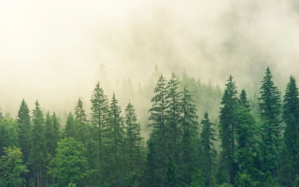 Ilustrační foto 