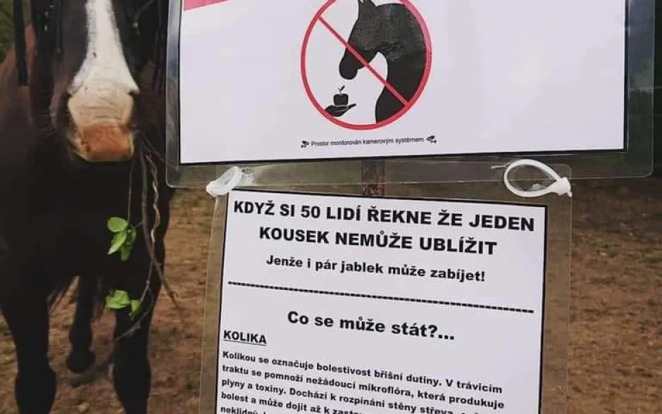 Ilustrační foto 