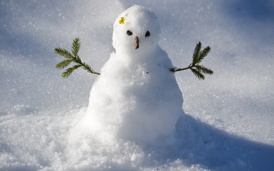 Ilustrační foto 
