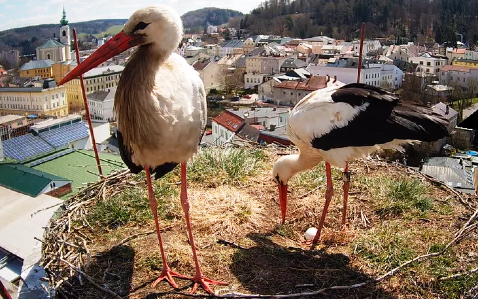 Ilustrační foto