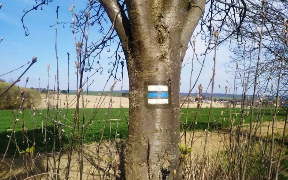 Ilustrační foto