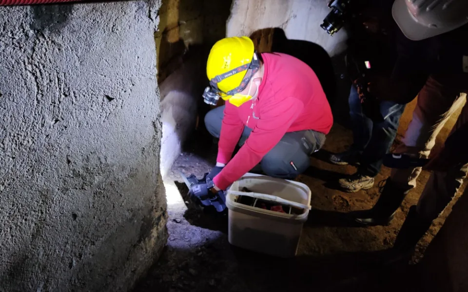 Od tohoto týdne probíhá v Jihlavě deratizace. Potkanů je nejvíce na Březinkách, Dolině nebo v Kollárově ulici