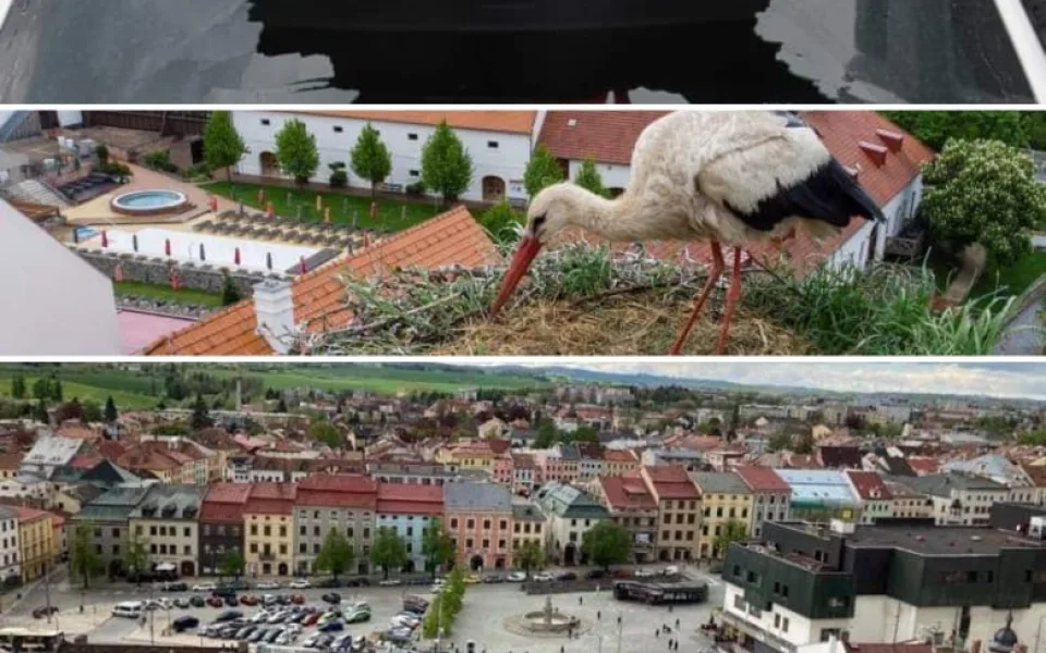 KVĚTEN 2021: Zámek prohozený oknem auta, příběh čapí rodiny nebo otevřená vyhlídka sv. Jakuba