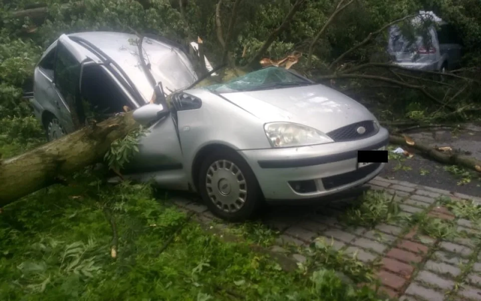 Na Vysočině v bouřkách padaly stromy, hasiči měli přes 200 výjezdů