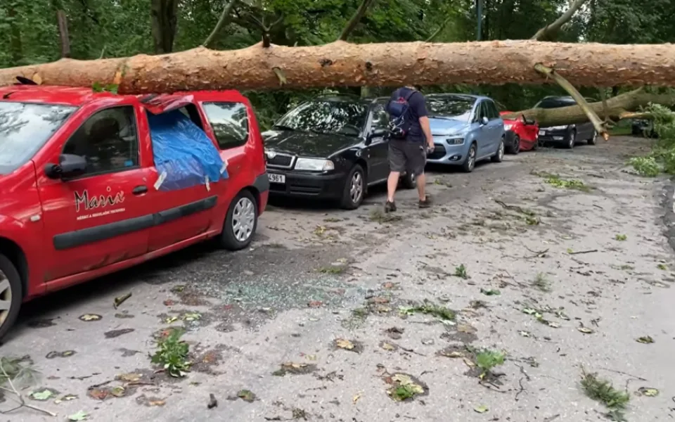 Popadané stromy a větve poničily na dvacet aut v ulici Na Kopci
