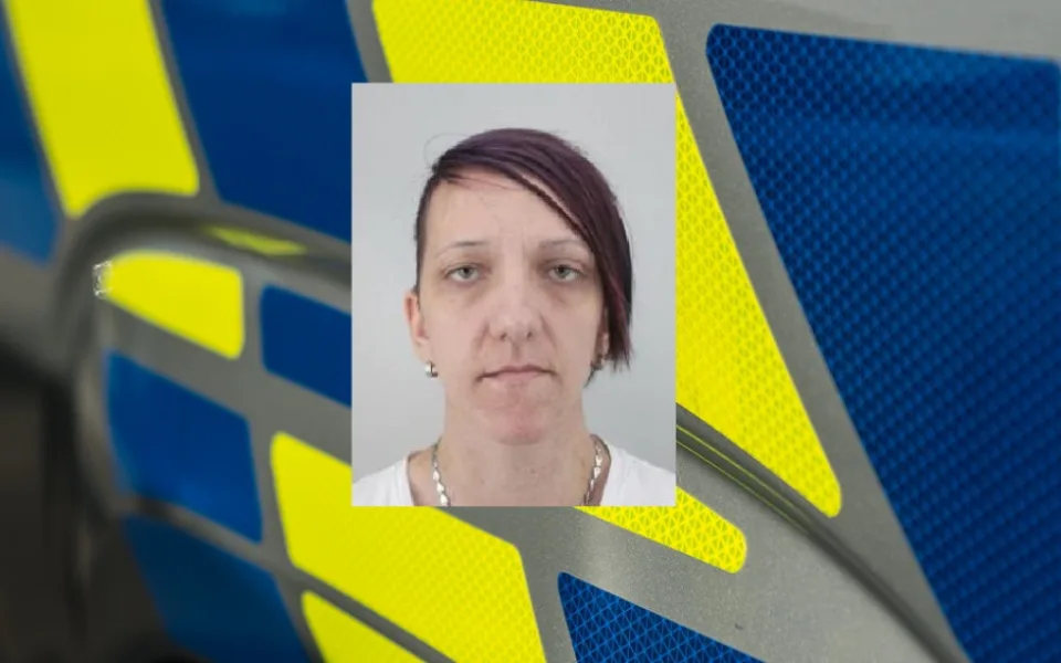 Vyholená a s vytetovaným štírem. Třiatřicetiletá žena o sobě nedala od května vědět