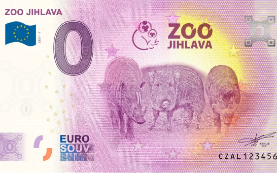 Jihlavská zoo bude vydávat sběratelské bankovky, tentokrát s motivy prasat 