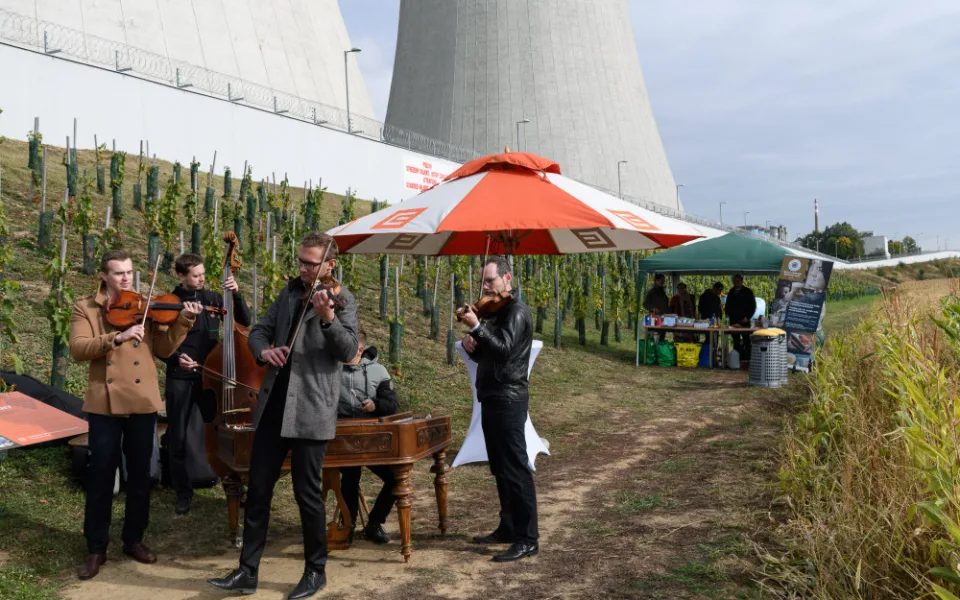 Lahodný mok ve stínu dukovanské elektrárny? První vinobraní jaderné vinice přineslo přes 700 kilo hroznů