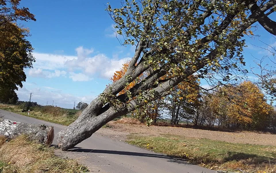 Vítr trápí Vysočinu i nadále. Domácnosti jsou bez proudu, problémy jsou i na železnici