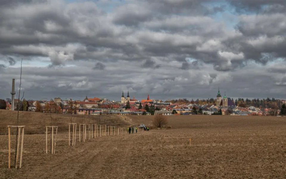 Jihlava má na Skalce novou alej. Lidé mohou adoptovat třeba hrušeň, třešeň či javor
