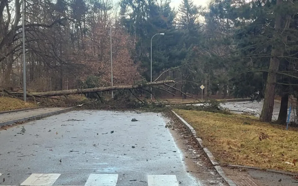 Na Vysočině je bez elektřiny několik tisíc domácností, vítr komplikuje i dopravu