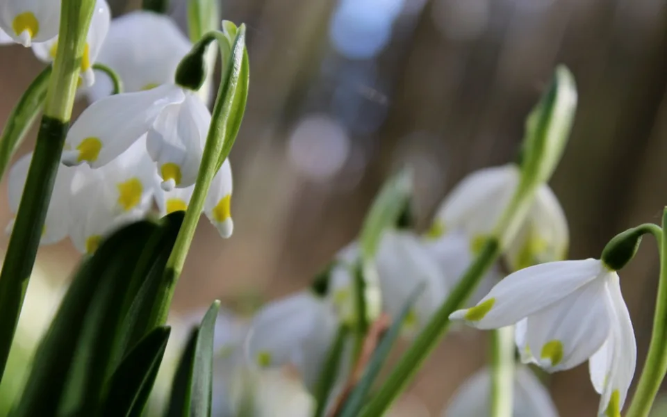 Ilustrační foto