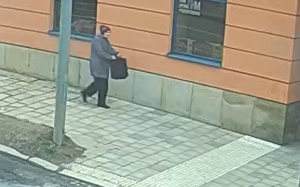 Vandal opakovaně poškodil Peugeota na Dvořákově ulici. Policie hledá ženu na fotce a další svědky