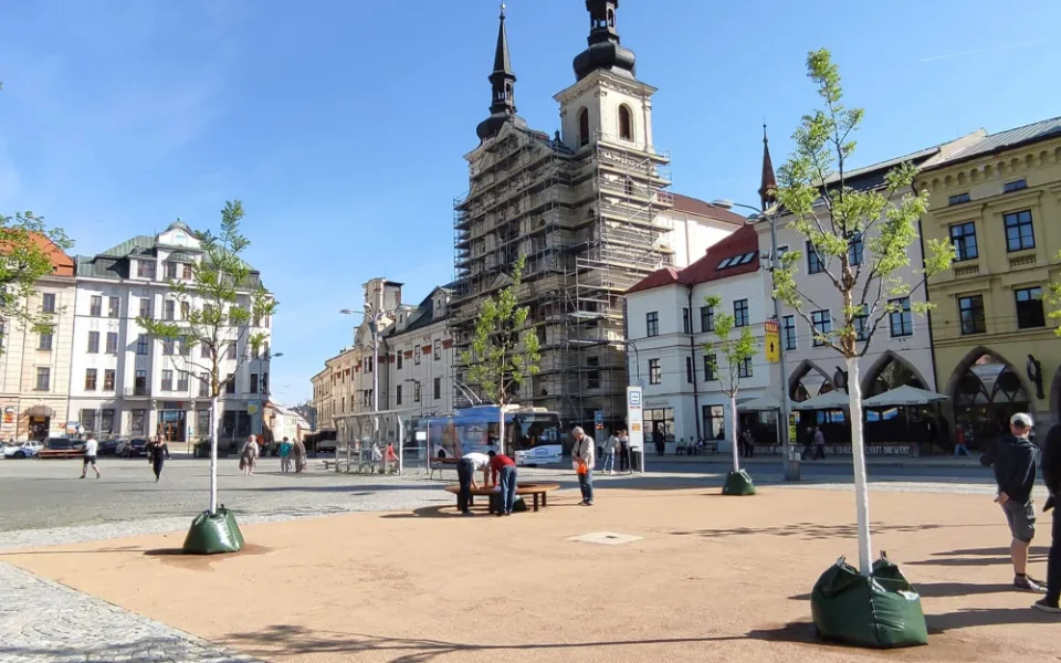 Centrum Jihlavy krášlí nový parčík s pěti stromy. V rámci revitalizace náměstí vzniknou ještě dva