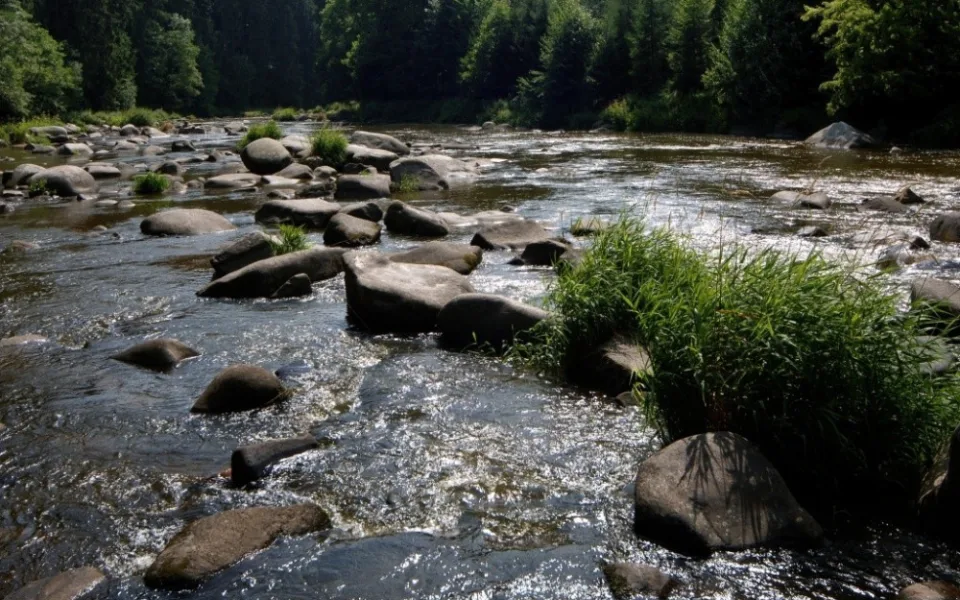 Stvořidla