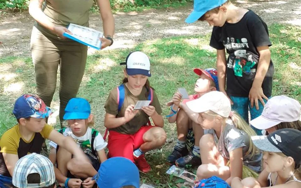 O lese se učí děti i o prázdninách. Tématem je zvěř i to, kde se může rozdělat oheň