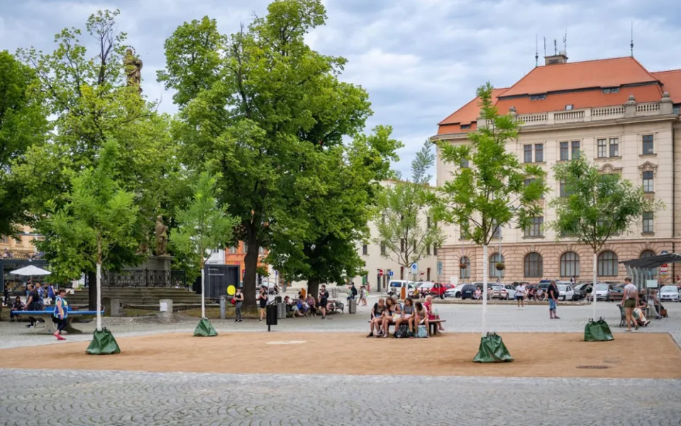 Výsadba na jihlavském Masarykově náměstí