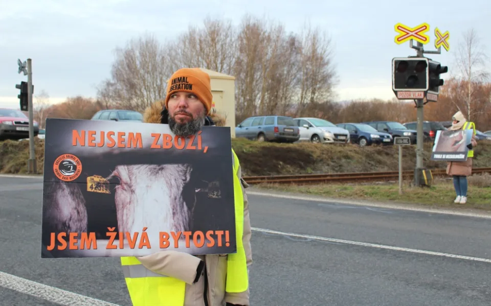 Ilustrační foto