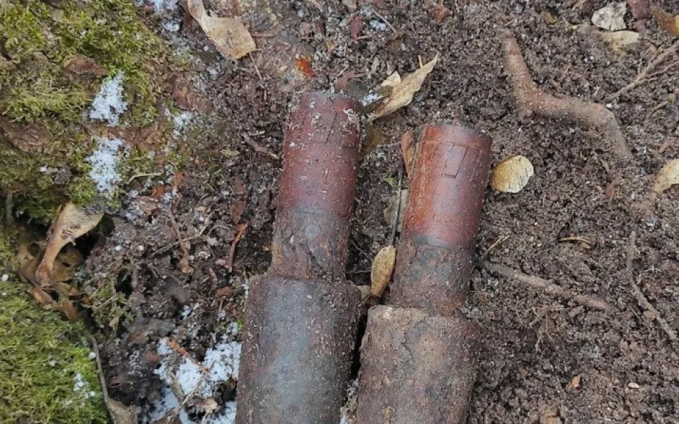 V lese na Pelhřimovsku někdo našel dva značně zkorodované puškové granáty. Zlikvidoval je pyrotechnik 