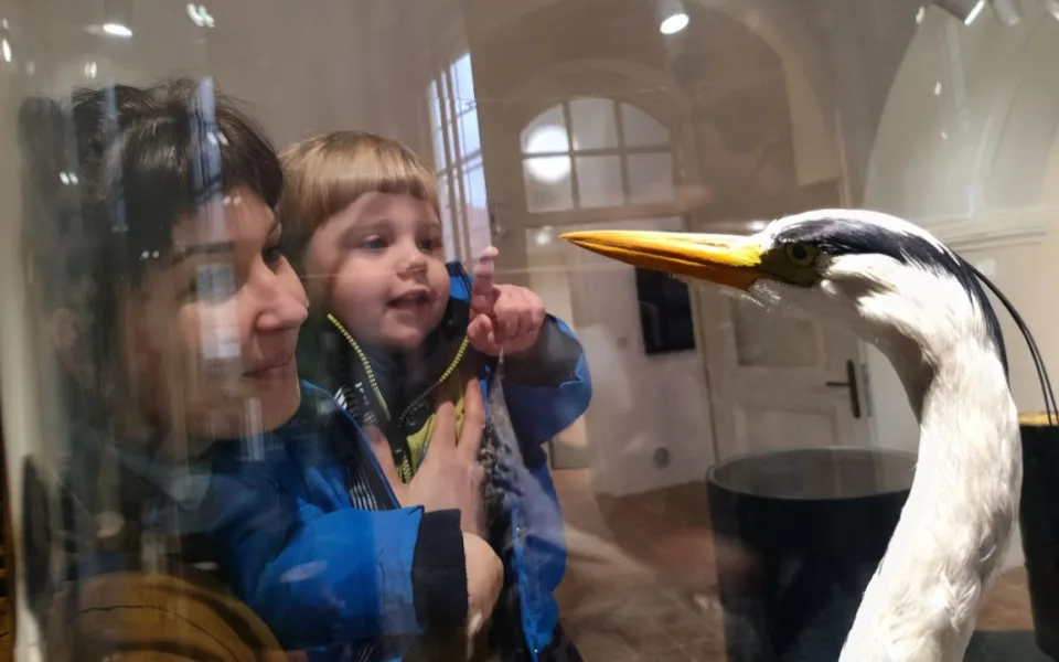 Muzeum v Telči