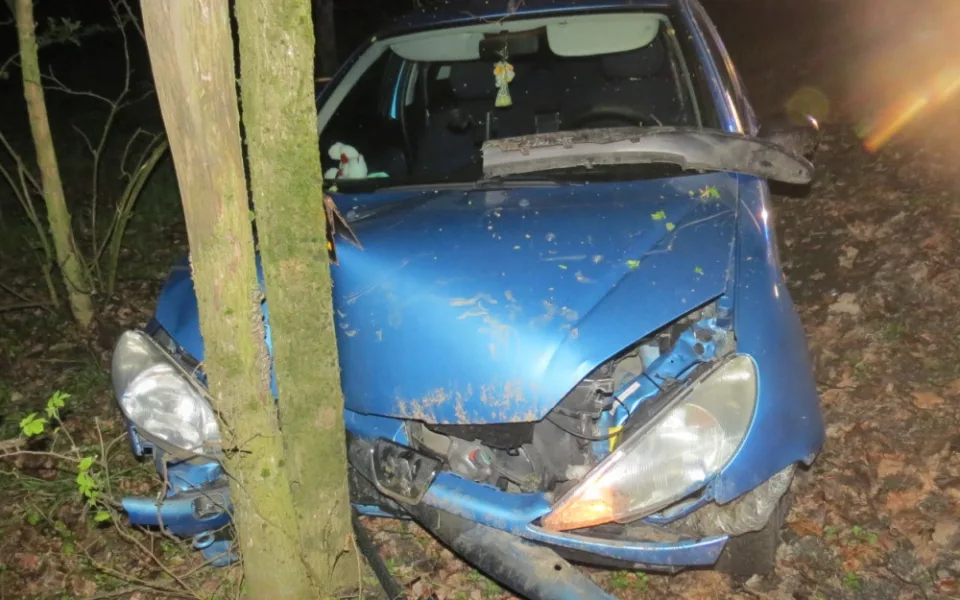 Záchranné složky jely k nehodě řidiče v Peugeotu. Muž nadýchal skoro 2,5 promile a skončil na záchytce