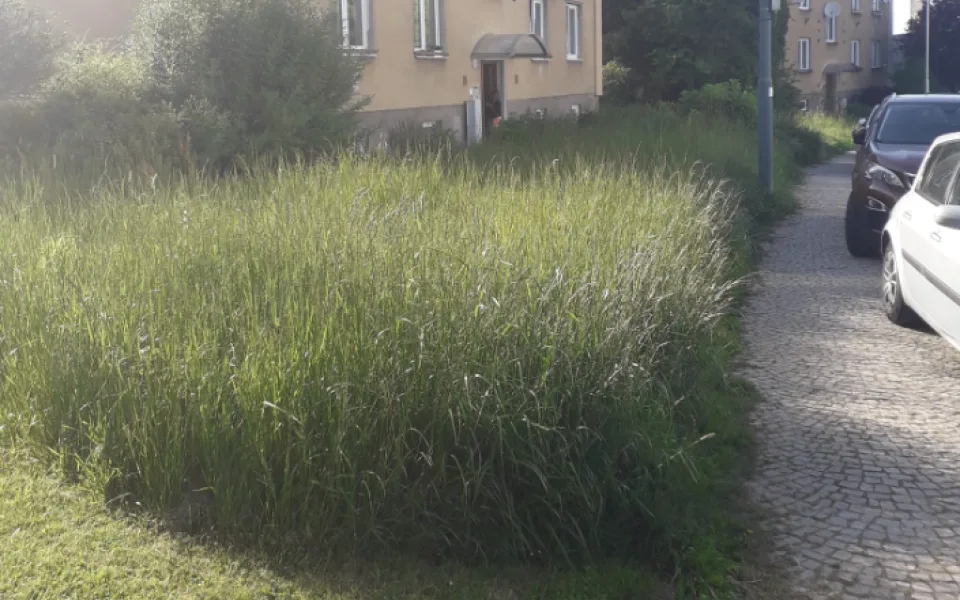 Jihlavané si stěžují na neposekanou trávu, najatá firma nestíhá. Už se to nebude opakovat, tvrdí město