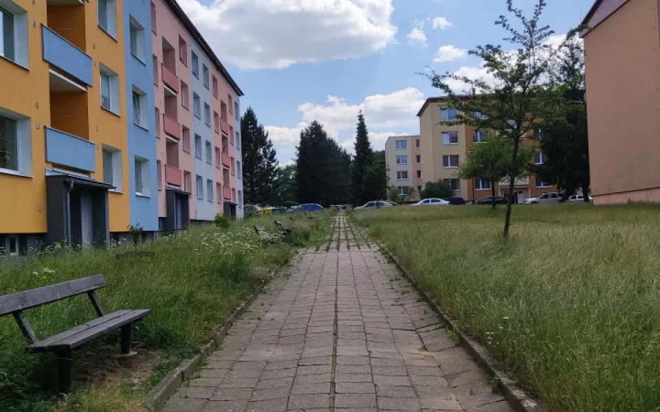 POLITICKÁ KORIDA: Prokletá vysoká tráva. Kde se stala největší chyba?