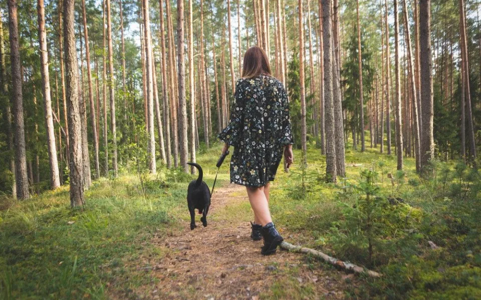 Ilustrační foto 