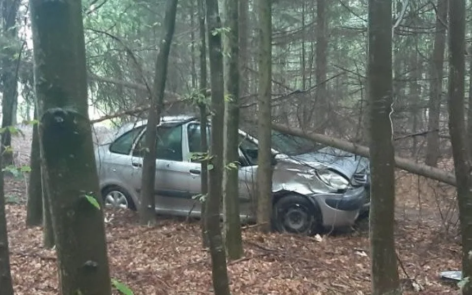 Muž se zákazem řídil auto bez registrační značky. Pod vlivem alkoholu ujížděl hlídce a narazil do stromu