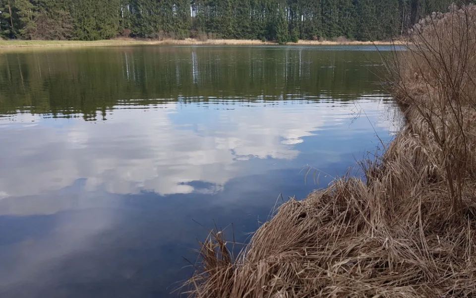 Ilustrační foto