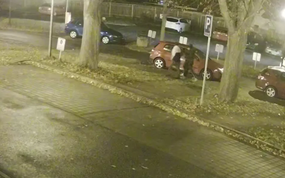Vandal v Brodě poškodil v parku šest lamp. Neznáte mladíky na fotkách?