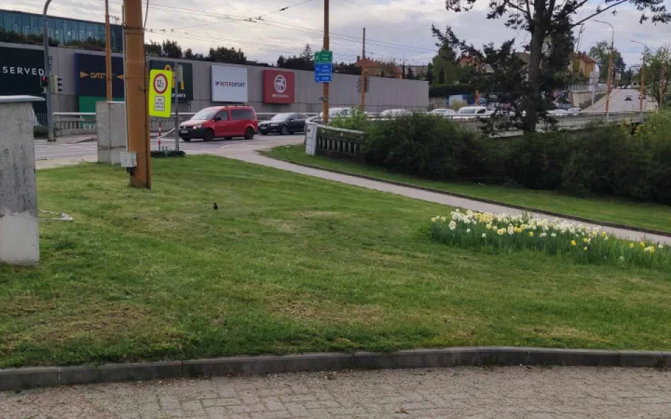 Komplikace se sečením jako loni? Kdepak, letos jde vše podle plánu, posekaná je už třetina města