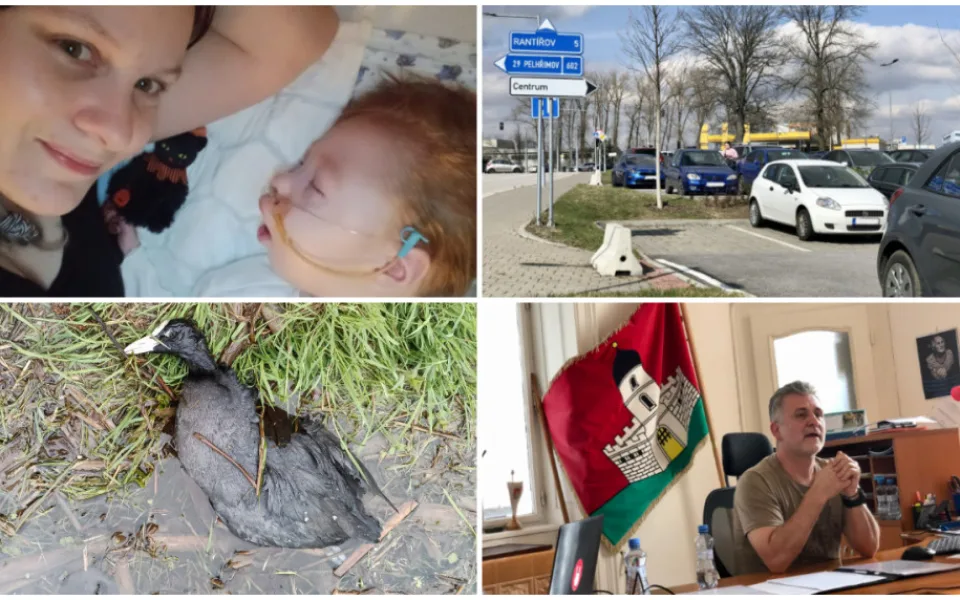 DUBEN NA DRBNĚ: (Ne)obyčejná maminka, parkování v Jihlavě, žáci útočící na kachny, neshody v Jeníkově