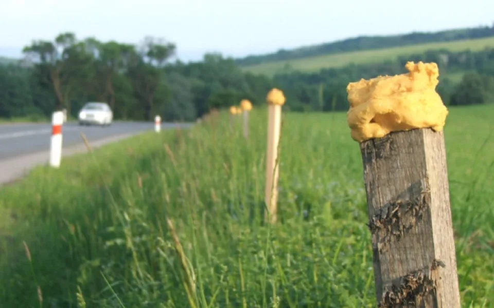 Ilustrační foto. Foto: poskytl Zlínský kraj