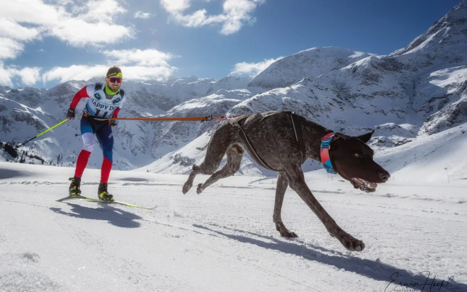Fotografie ze sportovních aktivit. Foto: se souhlasem Alexe Noska
