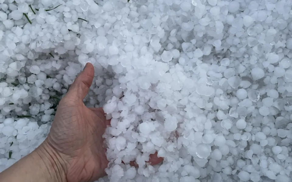 Bílo na Jihlavsku. Divoký závěr víkendu, zahrádkáři sčítají škody po supercelární bouři a kropobití, foto: Julie Pádivá
