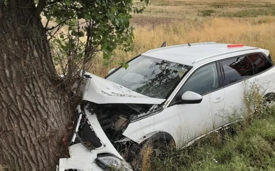 Řidička nevybrala zatáčku, vjela do příkopu a narazila do stromu. Se spolujezdkyní skončila v péči lékařů 
