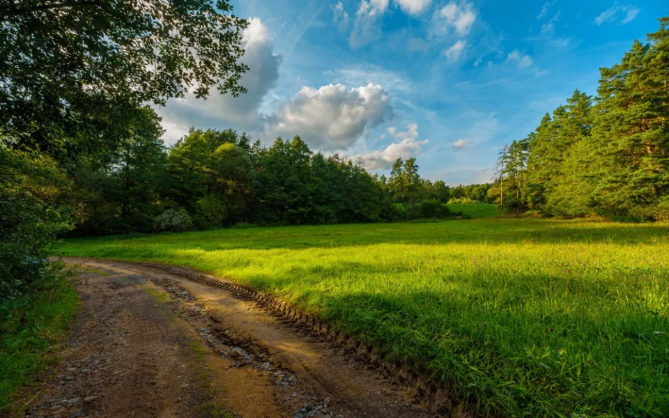 Krajský soud vyhověl Dětěm země v žalobě podané kvůli obchvatu Třebíče. Foto: se souhlasem Města Třebíč