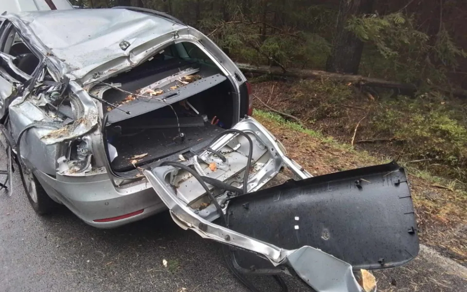 V Kostelní Myslové spadl strom na projíždějící auto. Města mají situaci pod kontrolou. Foto: se souhlasem Hasičského záchranného sboru Kraje Vysočina