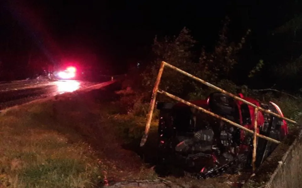 Řidič skončil v nemocnici. Havaroval poté, co mu do cesty spadl strom. Foto: se souhlasem Policie ČR